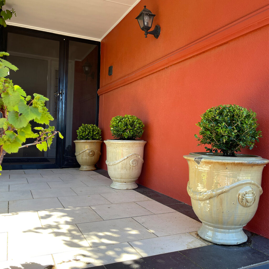 wide angle view of topiary
